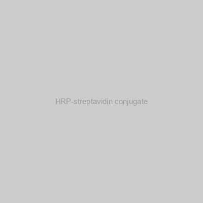 HRP-streptavidin conjugate